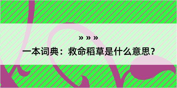 一本词典：救命稻草是什么意思？