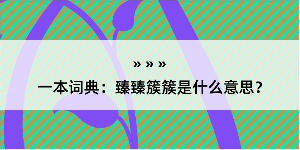 一本词典：臻臻簇簇是什么意思？