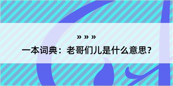 一本词典：老哥们儿是什么意思？