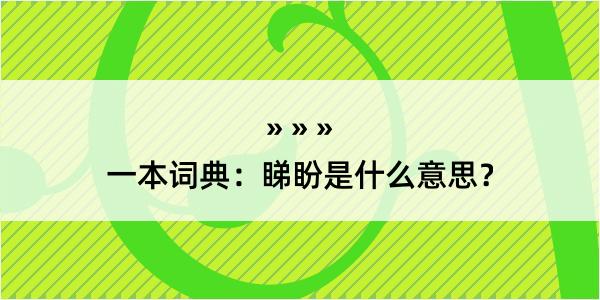 一本词典：睇盼是什么意思？