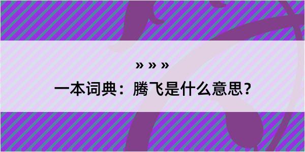 一本词典：腾飞是什么意思？