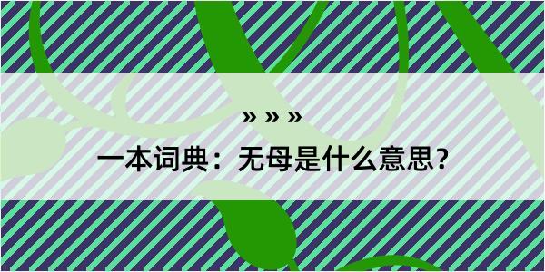 一本词典：无母是什么意思？