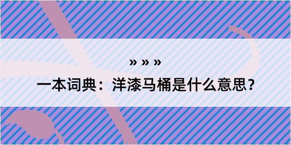 一本词典：洋漆马桶是什么意思？