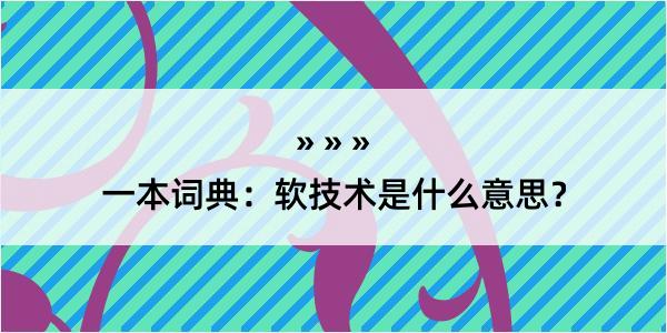 一本词典：软技术是什么意思？