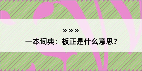 一本词典：板正是什么意思？