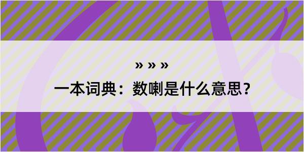 一本词典：数喇是什么意思？