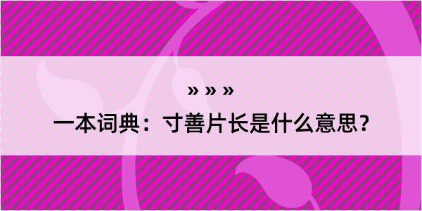 一本词典：寸善片长是什么意思？