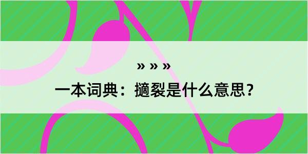 一本词典：擿裂是什么意思？