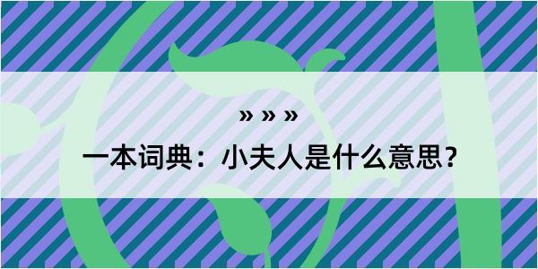 一本词典：小夫人是什么意思？