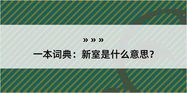 一本词典：新室是什么意思？