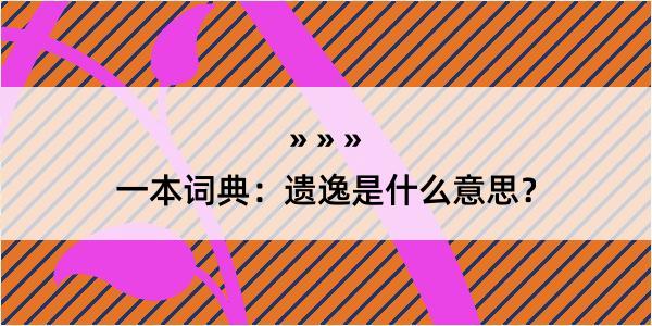 一本词典：遗逸是什么意思？