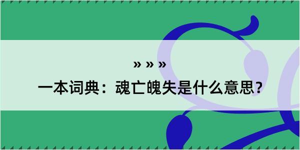 一本词典：魂亡魄失是什么意思？