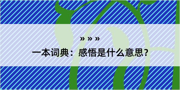 一本词典：感悟是什么意思？