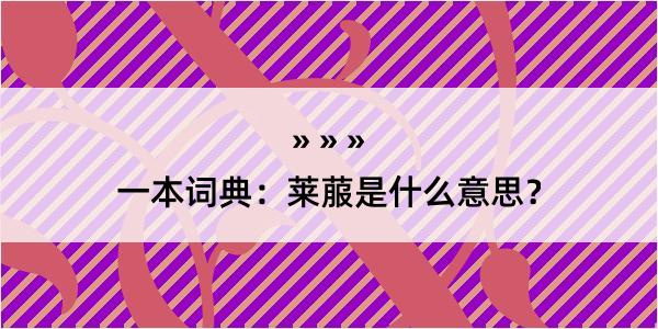 一本词典：莱菔是什么意思？