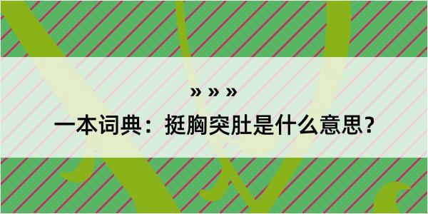 一本词典：挺胸突肚是什么意思？