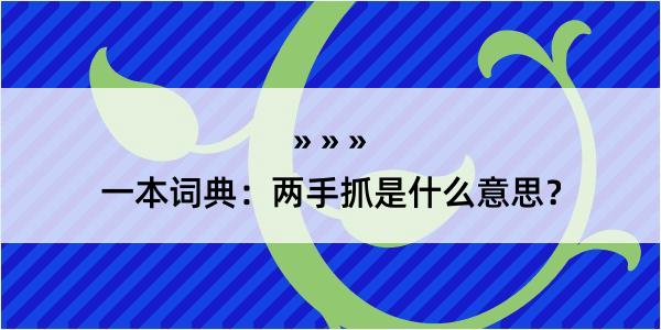 一本词典：两手抓是什么意思？