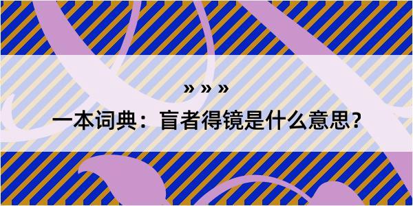 一本词典：盲者得镜是什么意思？