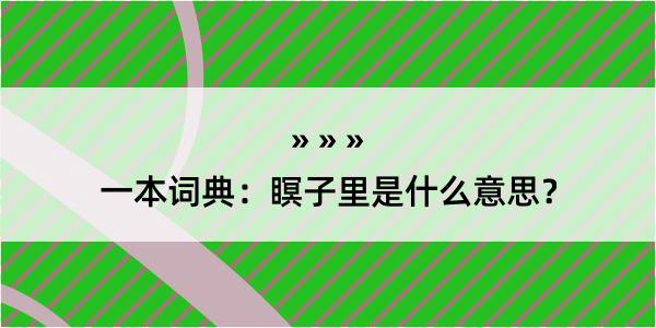 一本词典：瞑子里是什么意思？