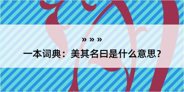 一本词典：美其名曰是什么意思？