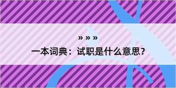 一本词典：试职是什么意思？