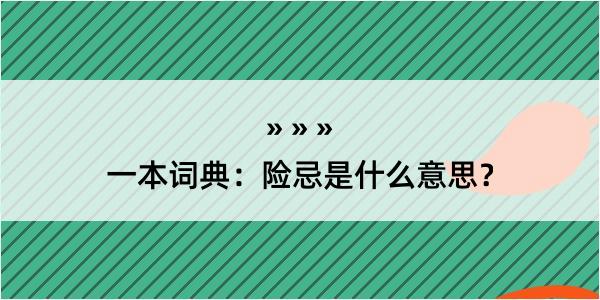 一本词典：险忌是什么意思？