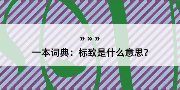 一本词典：标致是什么意思？