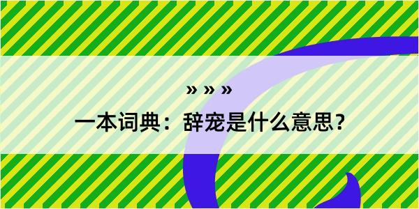 一本词典：辞宠是什么意思？