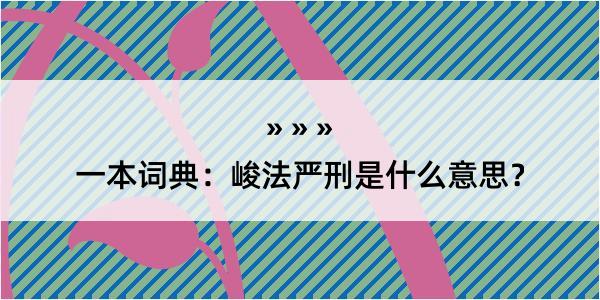 一本词典：峻法严刑是什么意思？