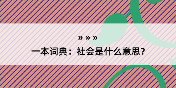 一本词典：社会是什么意思？