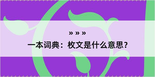 一本词典：枚文是什么意思？