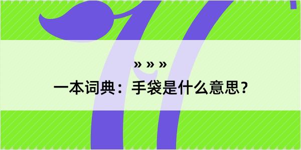 一本词典：手袋是什么意思？