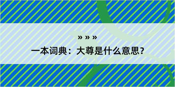 一本词典：大尊是什么意思？