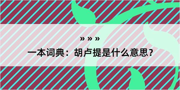 一本词典：胡卢提是什么意思？