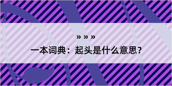 一本词典：起头是什么意思？