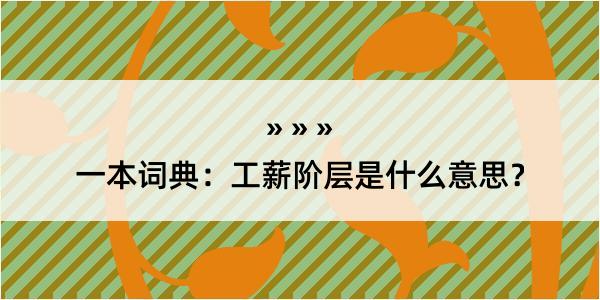 一本词典：工薪阶层是什么意思？