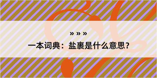 一本词典：盐裹是什么意思？