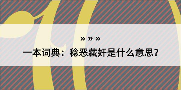 一本词典：稔恶藏奸是什么意思？