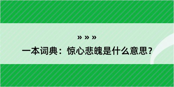 一本词典：惊心悲魄是什么意思？