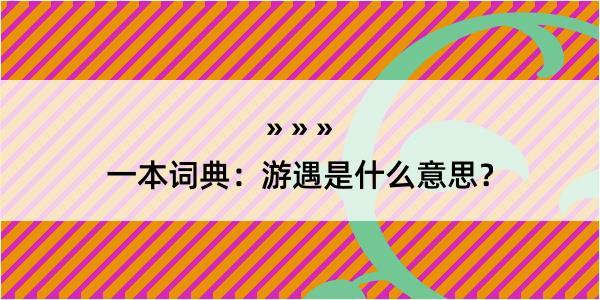 一本词典：游遇是什么意思？