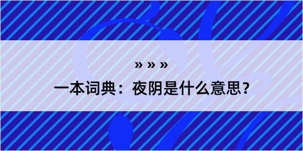 一本词典：夜阴是什么意思？