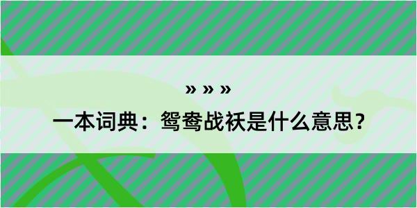 一本词典：鸳鸯战袄是什么意思？