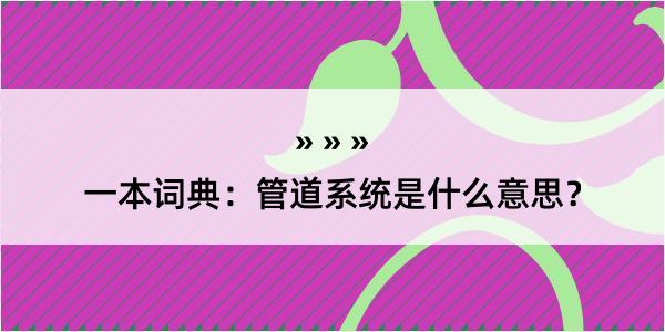 一本词典：管道系统是什么意思？