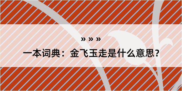 一本词典：金飞玉走是什么意思？