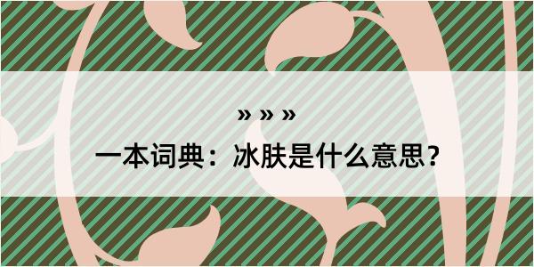 一本词典：冰肤是什么意思？