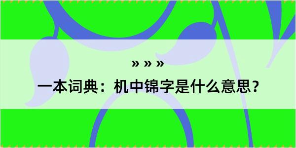 一本词典：机中锦字是什么意思？