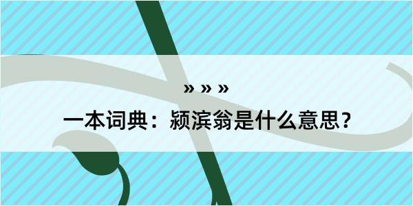 一本词典：颍滨翁是什么意思？