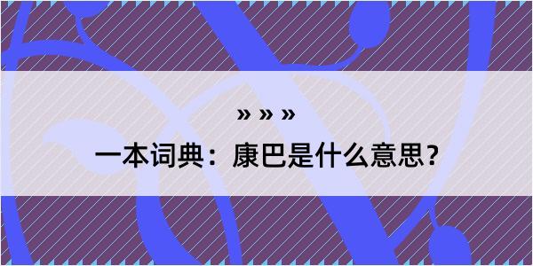 一本词典：康巴是什么意思？