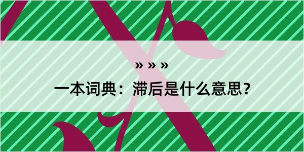 一本词典：滞后是什么意思？