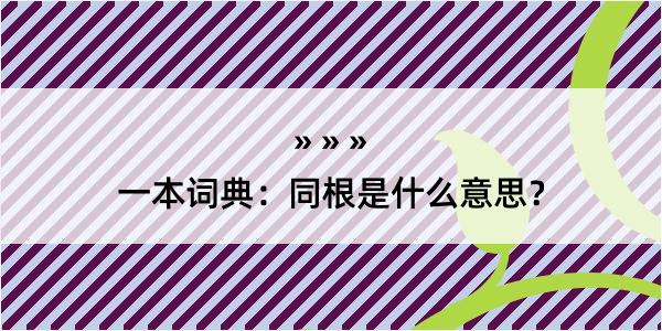 一本词典：同根是什么意思？