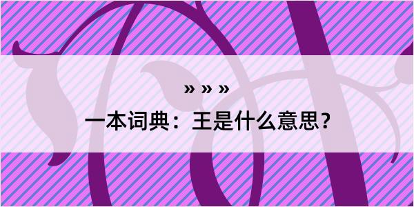 一本词典：王是什么意思？